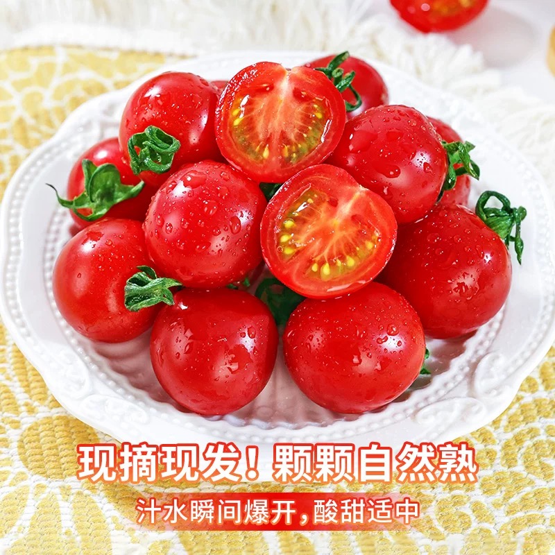 {顺丰发货}四川乐山甜蜜蜜小番茄水果应季新鲜采摘