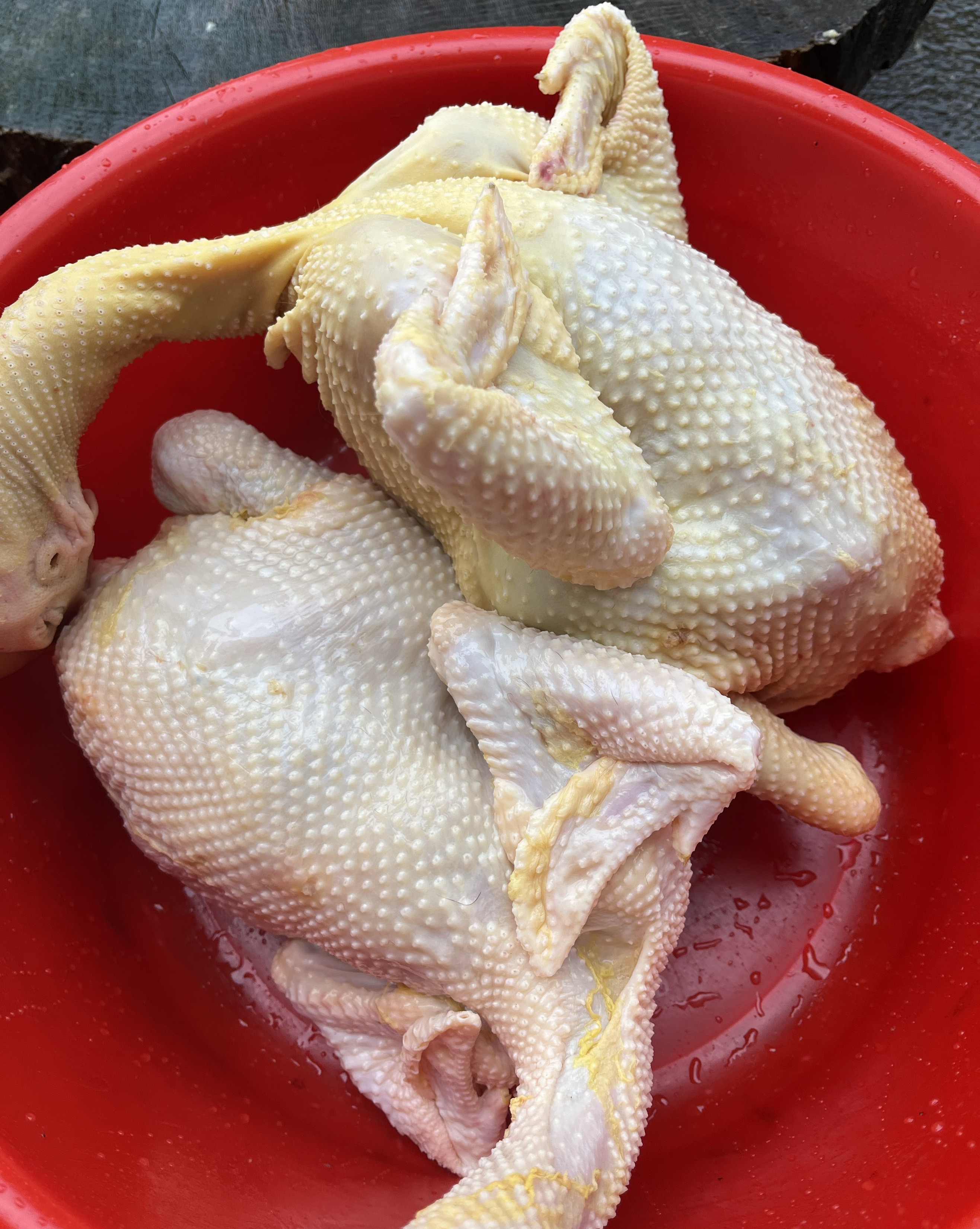 太太杂粮土鸡广东清远散养走地鸡农家鸡跑山鸡玉米鸡母鸡正宗土鸡