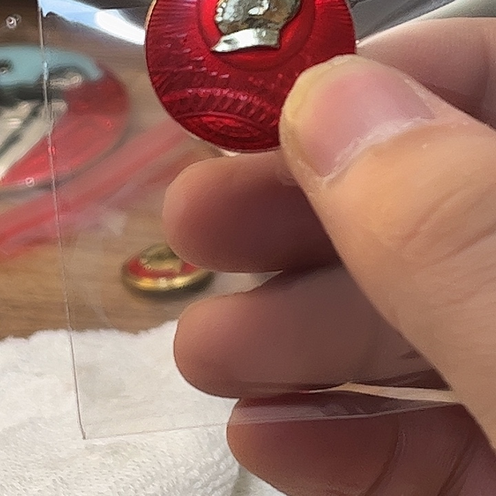 长****像章一一一一一高贵轻扬