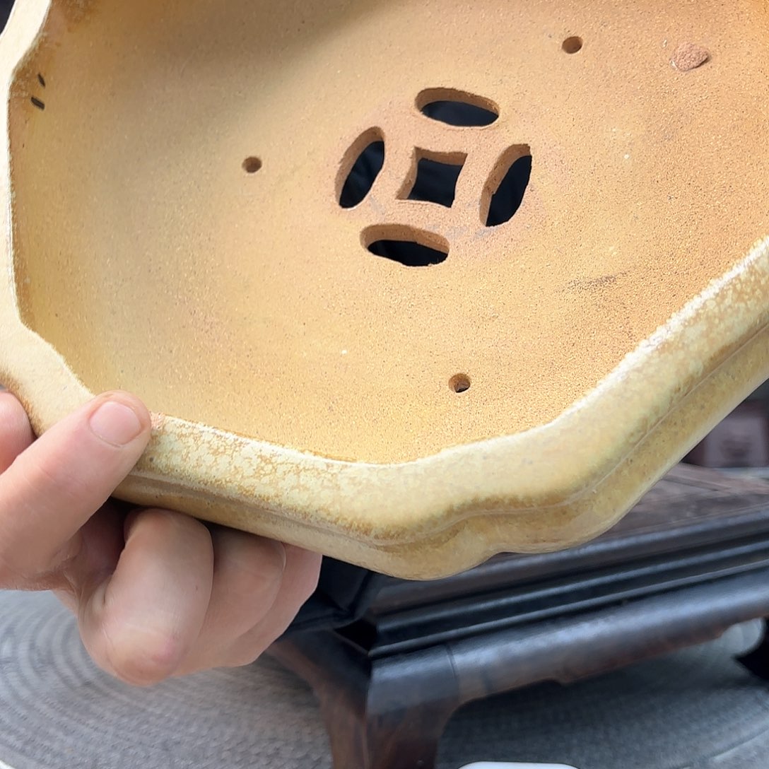 紫砂花盆好*呢紫砂的花也