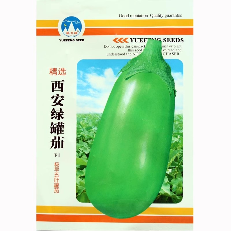 水果绿长罐茄圆茄种子绿色茄子种籽早熟长圆形绿皮茄盆栽四季蔬菜