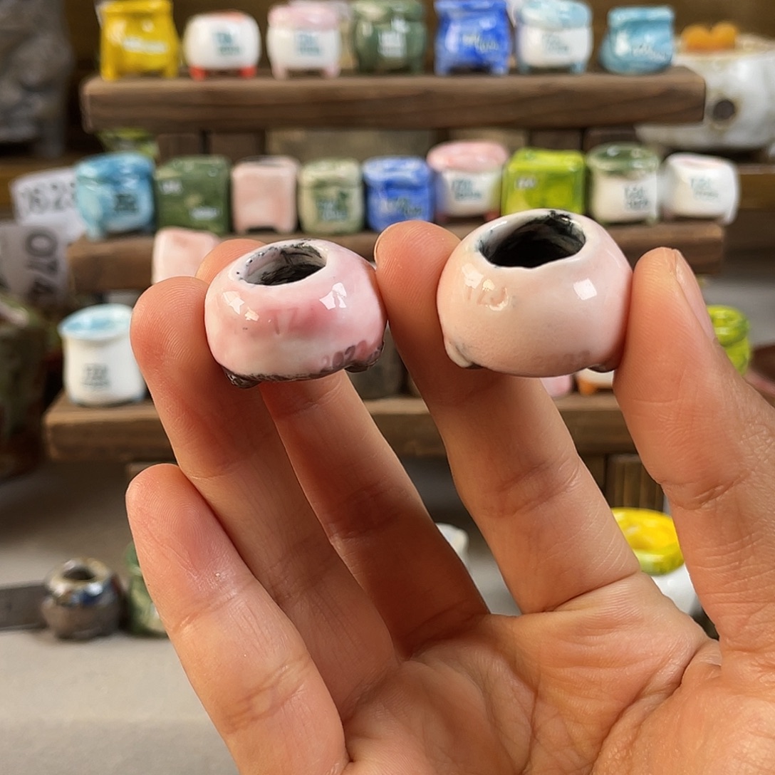 明***媚坛子姐花盆 哈哈哈哈哈哈哈