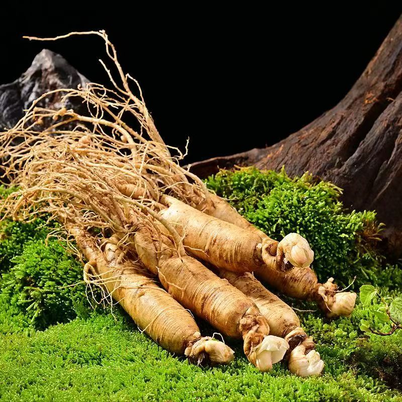 新鲜2-3两人参煲汤泡酒