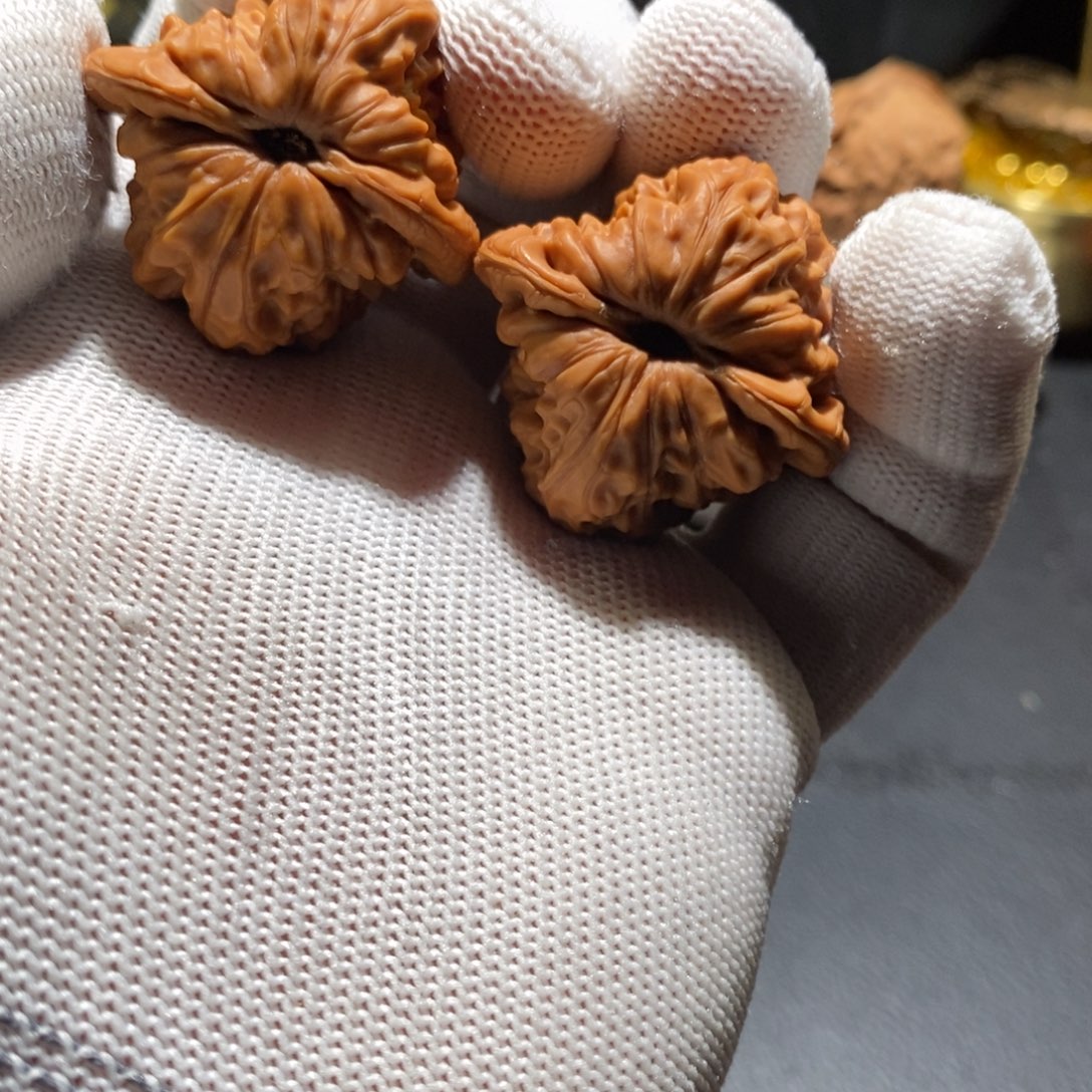 生****文玩核桃把件A0012白蛇谷37（全）