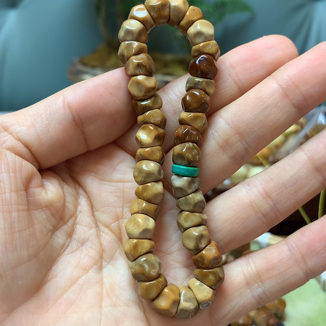 果皮C****o库克库克库克库克