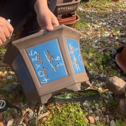 红陶紫砂花盆盆景盆栽