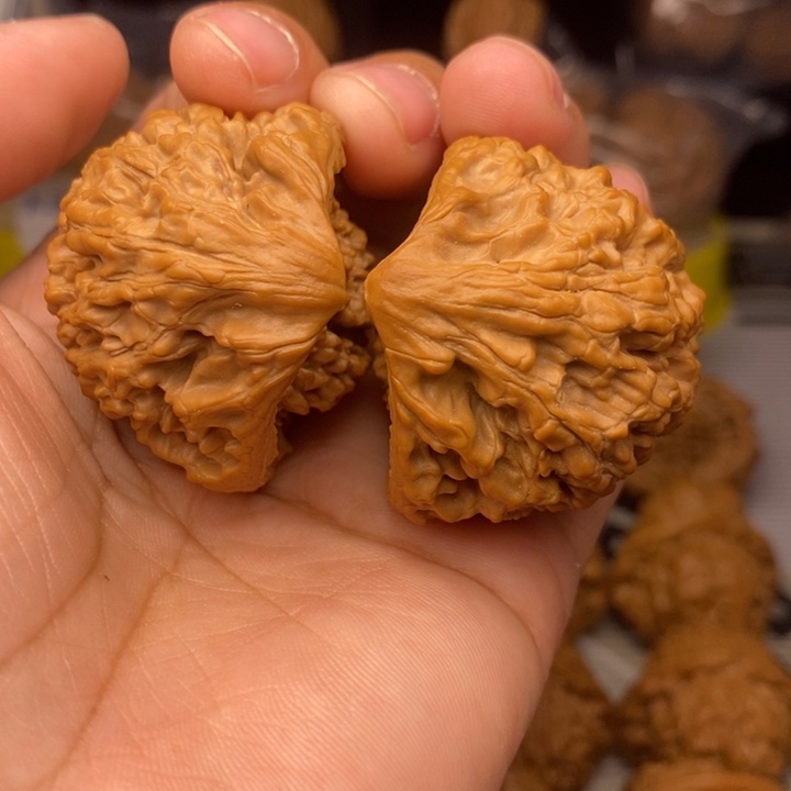 把件桃核天**创眼镜蛇