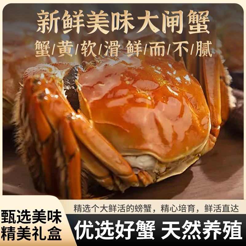活蟹【公4.3-4.6两,母3.3-3.6两】兴化大闸蟹 8/10只顺丰京东冷链