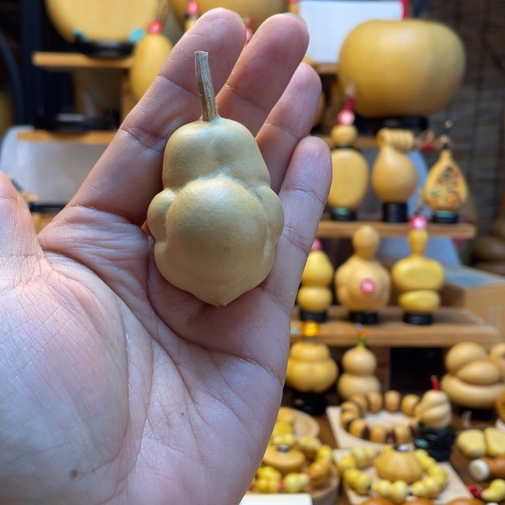 招***铛天然葫芦自然生长
