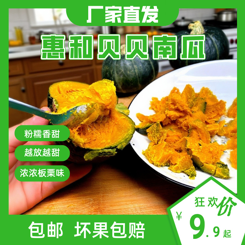 【挑食宝宝追着吃】惠和一号贝贝南瓜