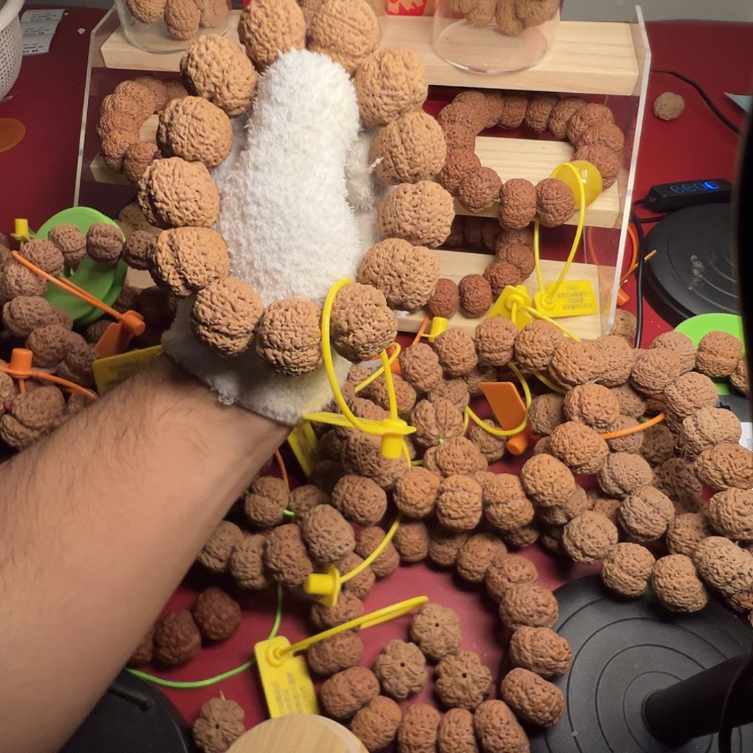 大叶紫檀（黑酸枝木类）