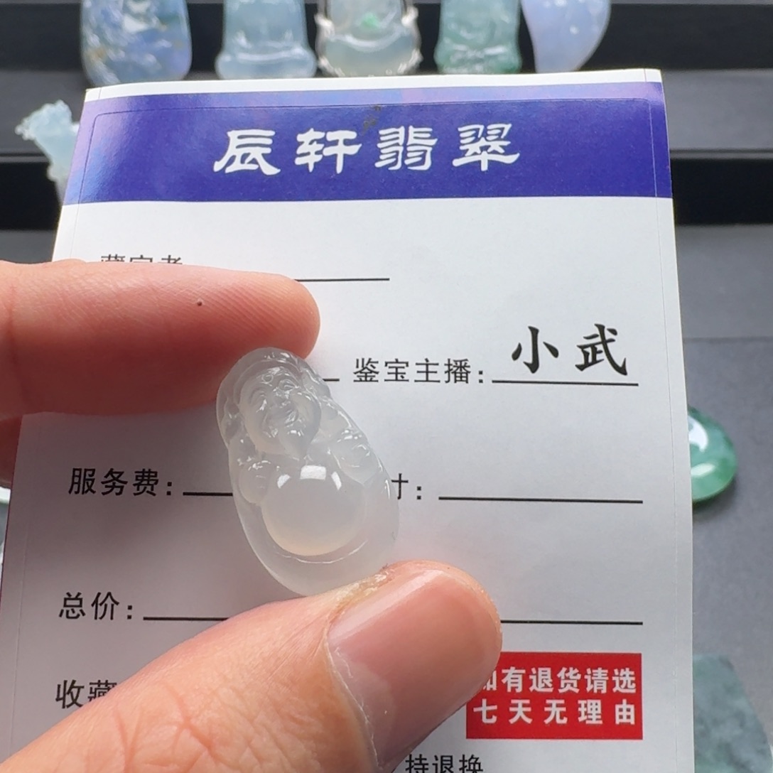 翡翠未镶嵌颈饰   15