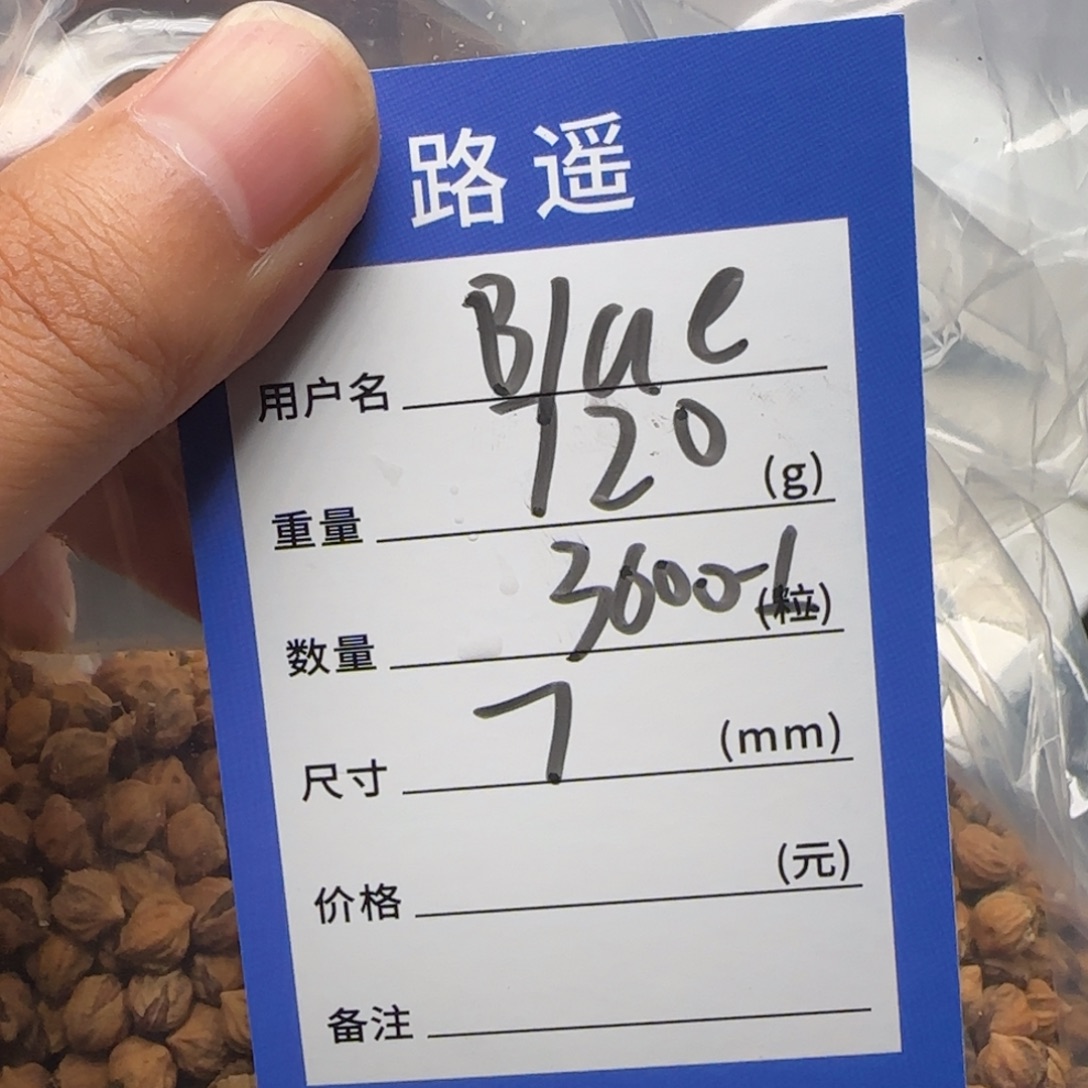 B****柏香籽/百香籽吊坠
