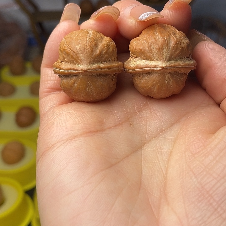 文玩核桃吊坠宽边元宝