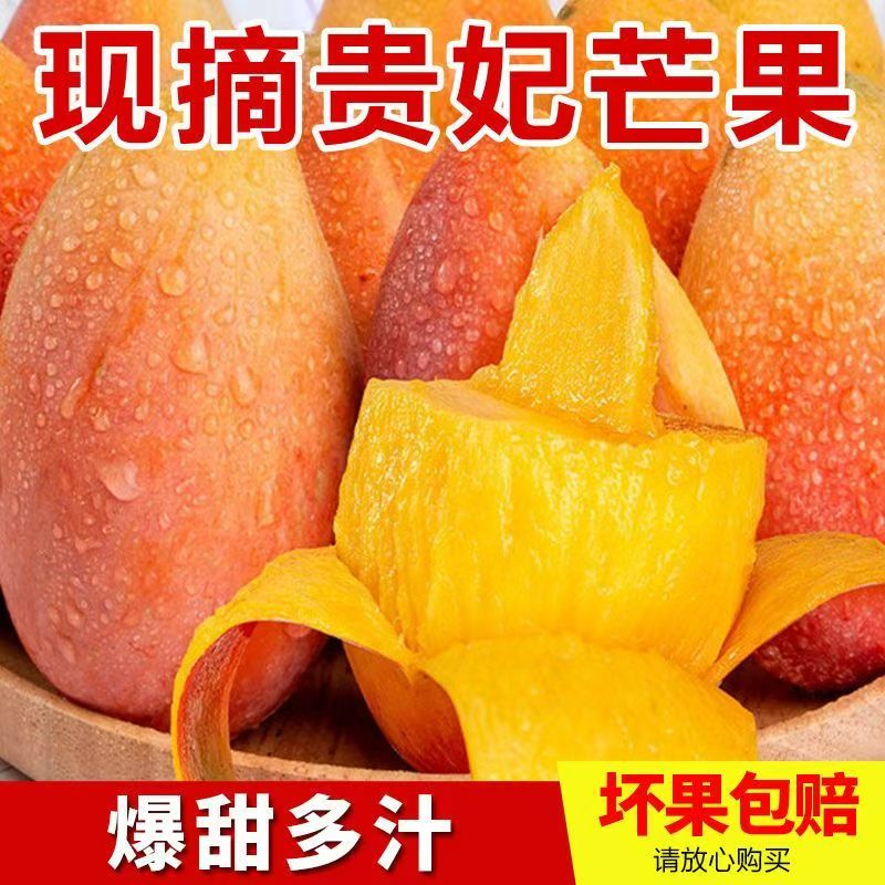 【三亚直发】正宗海南贵妃芒果新鲜现摘当季水果树上熟整箱热带水果