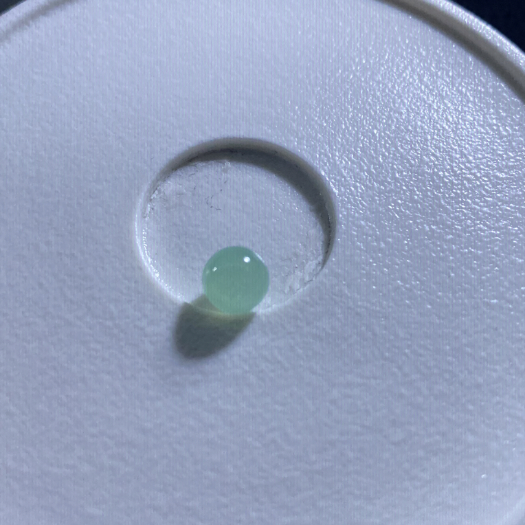 翡翠A货甜绿珠子 卡6.6