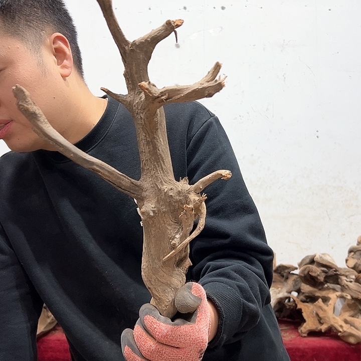 柏木虎**.我们都是好孩子呀我也