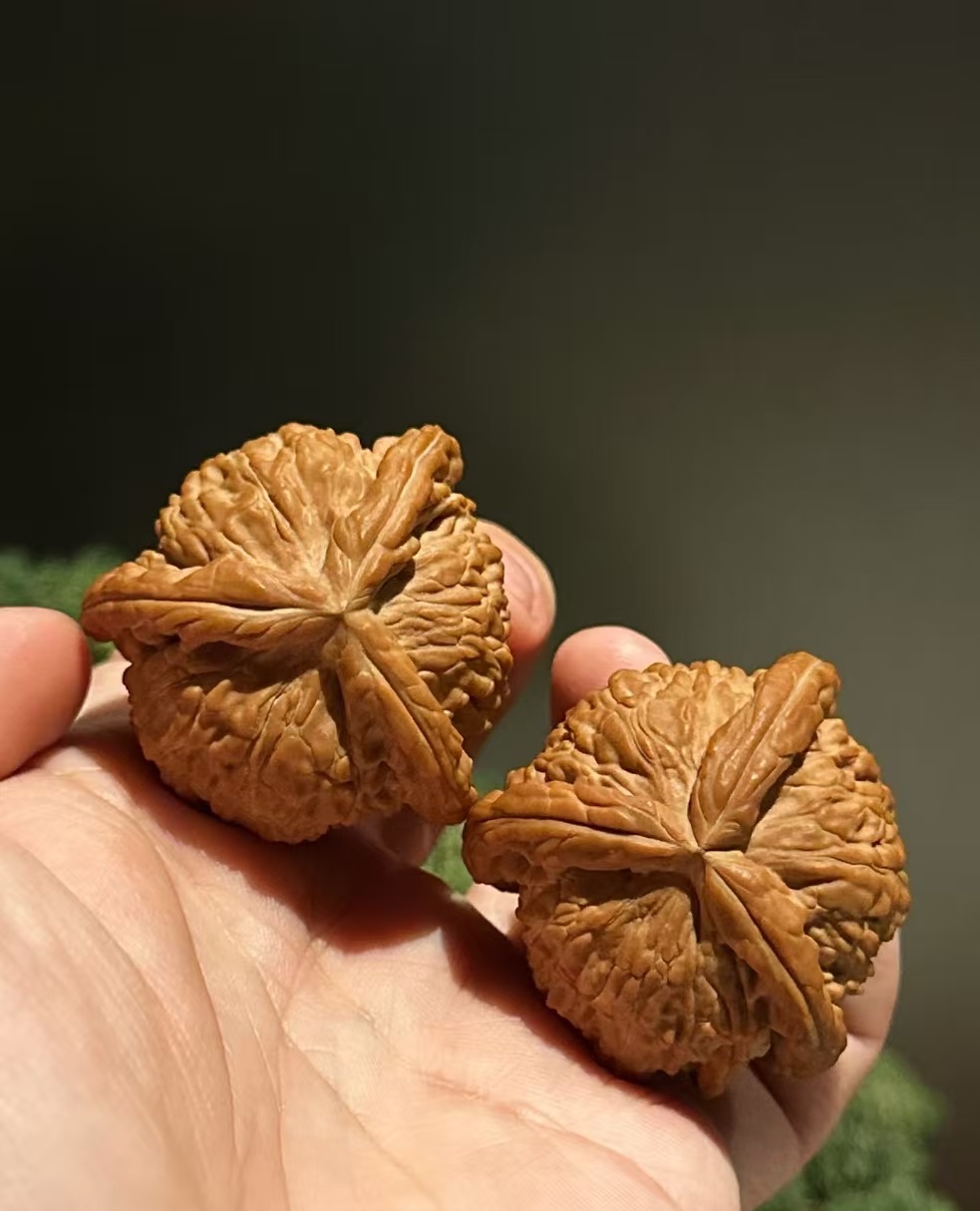 文玩核桃四大类苹果园白狮子三棱蛤蟆头宫灯狮子头等