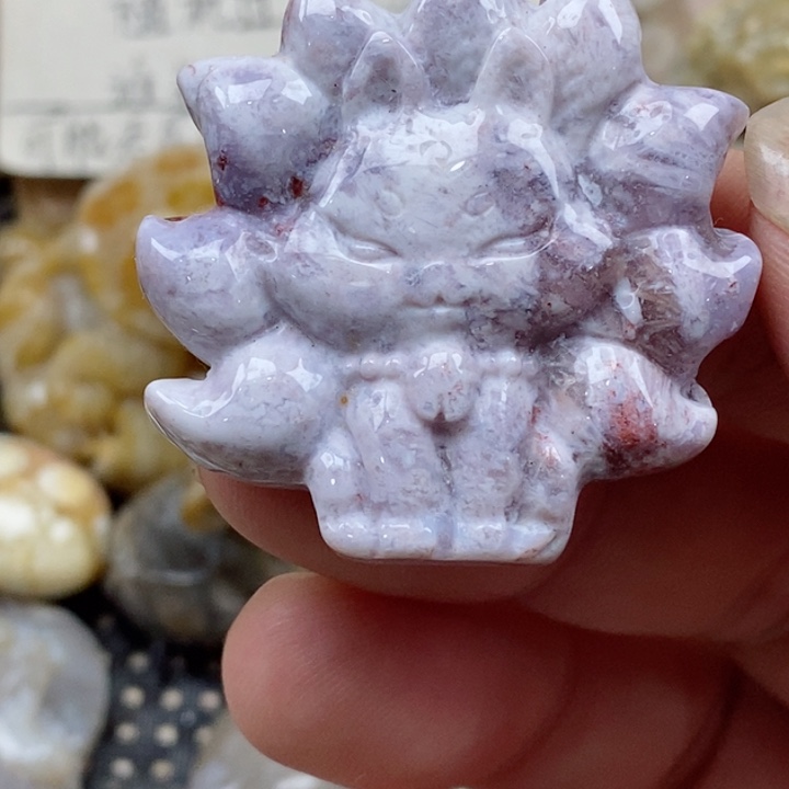 颈饰未镶嵌硅化珊瑚（珊瑚玉）