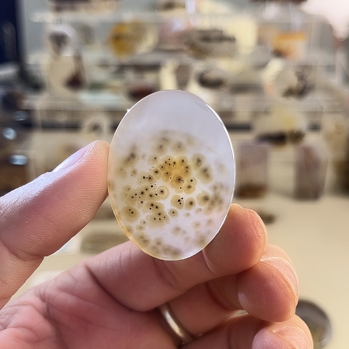 玛瑙/玉髓吊坠(不含链)未镶嵌