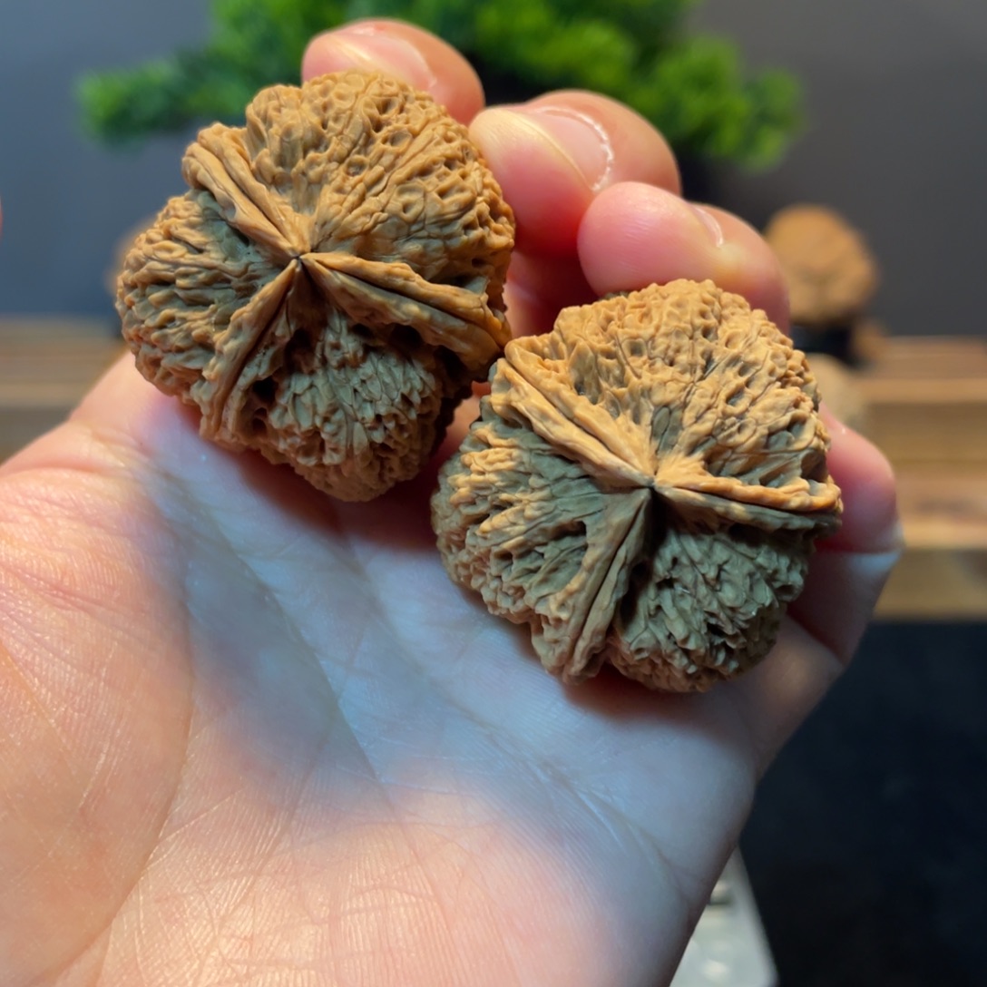 文玩核桃把件云南铁12