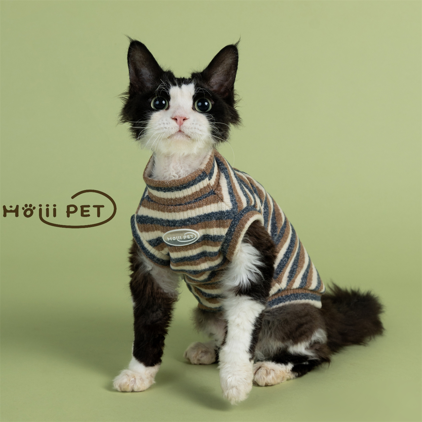 HOiii PET条纹磨毛毛衣背心德文猫衣服加厚无毛猫衣服保暖好穿冬