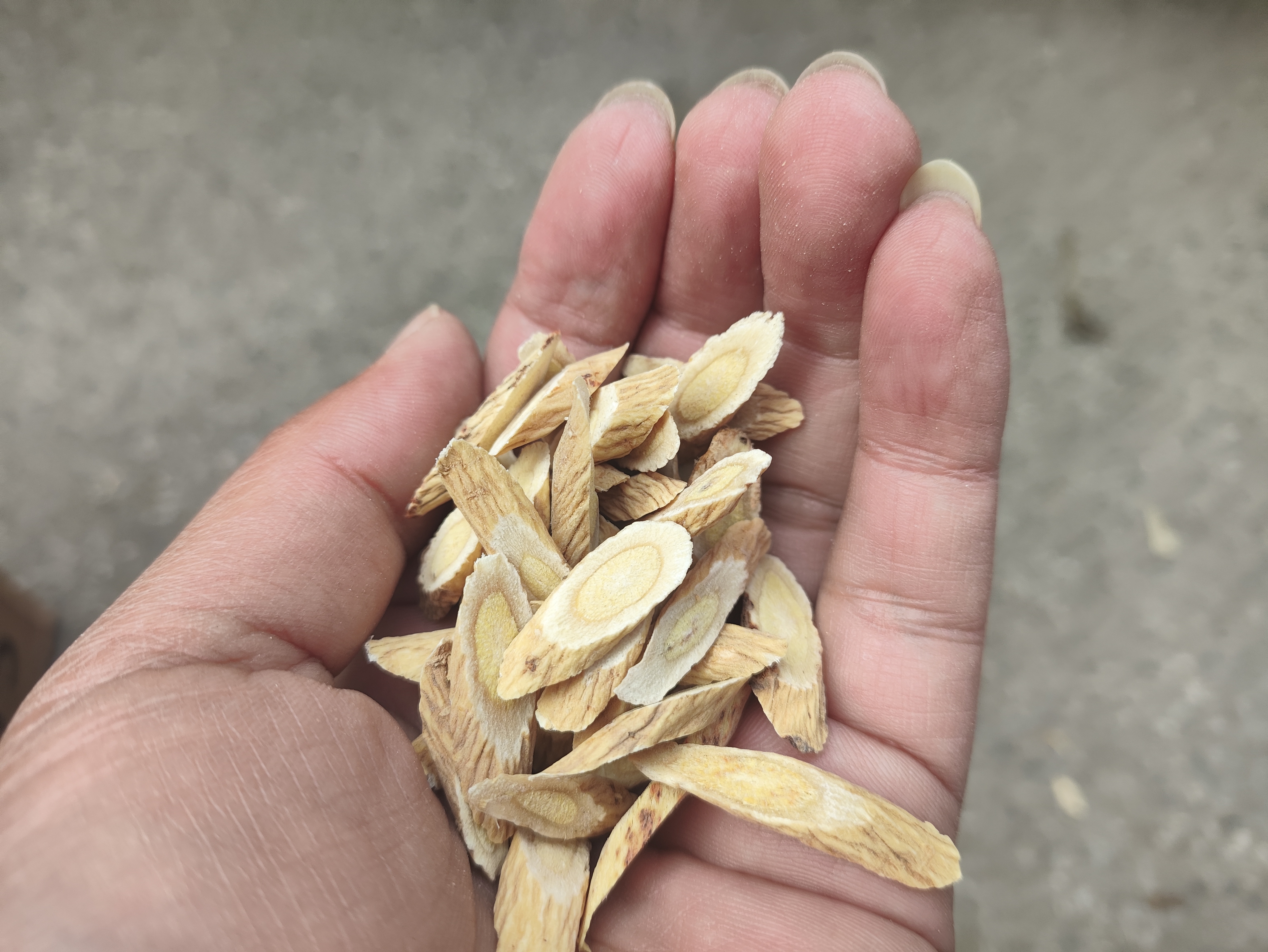 无硫黄芪片可泡水煲汤中药材