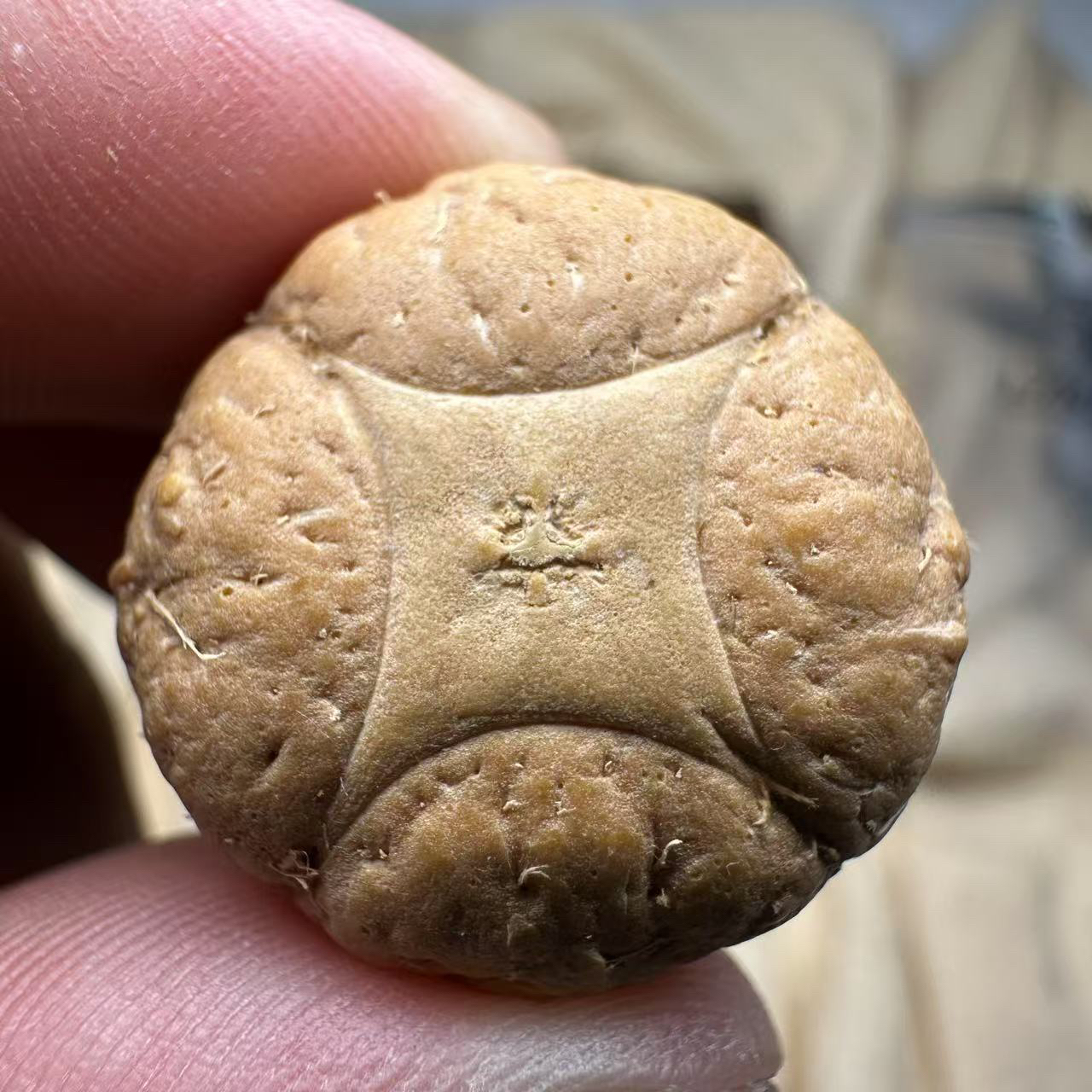 尼泊尔麒麟眼菩提，尺寸23，厚度17，s系列