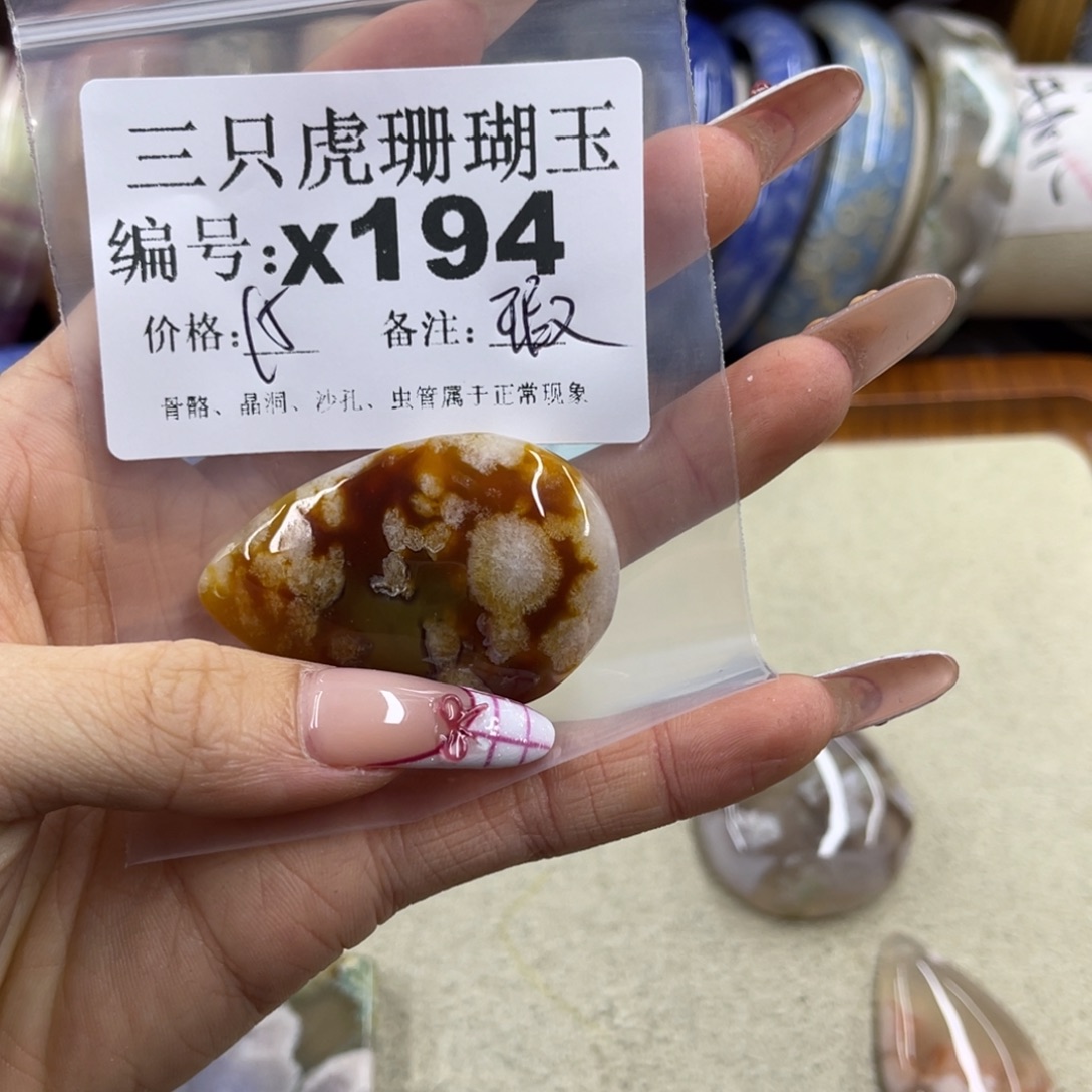 变***绘硅化珊瑚（珊瑚玉）未镶嵌h
