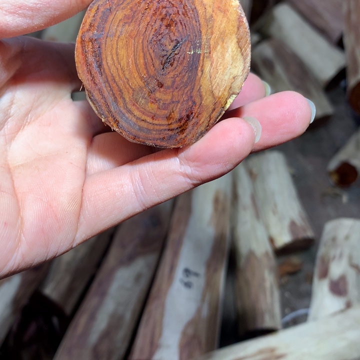 花梨木类海南黄花梨