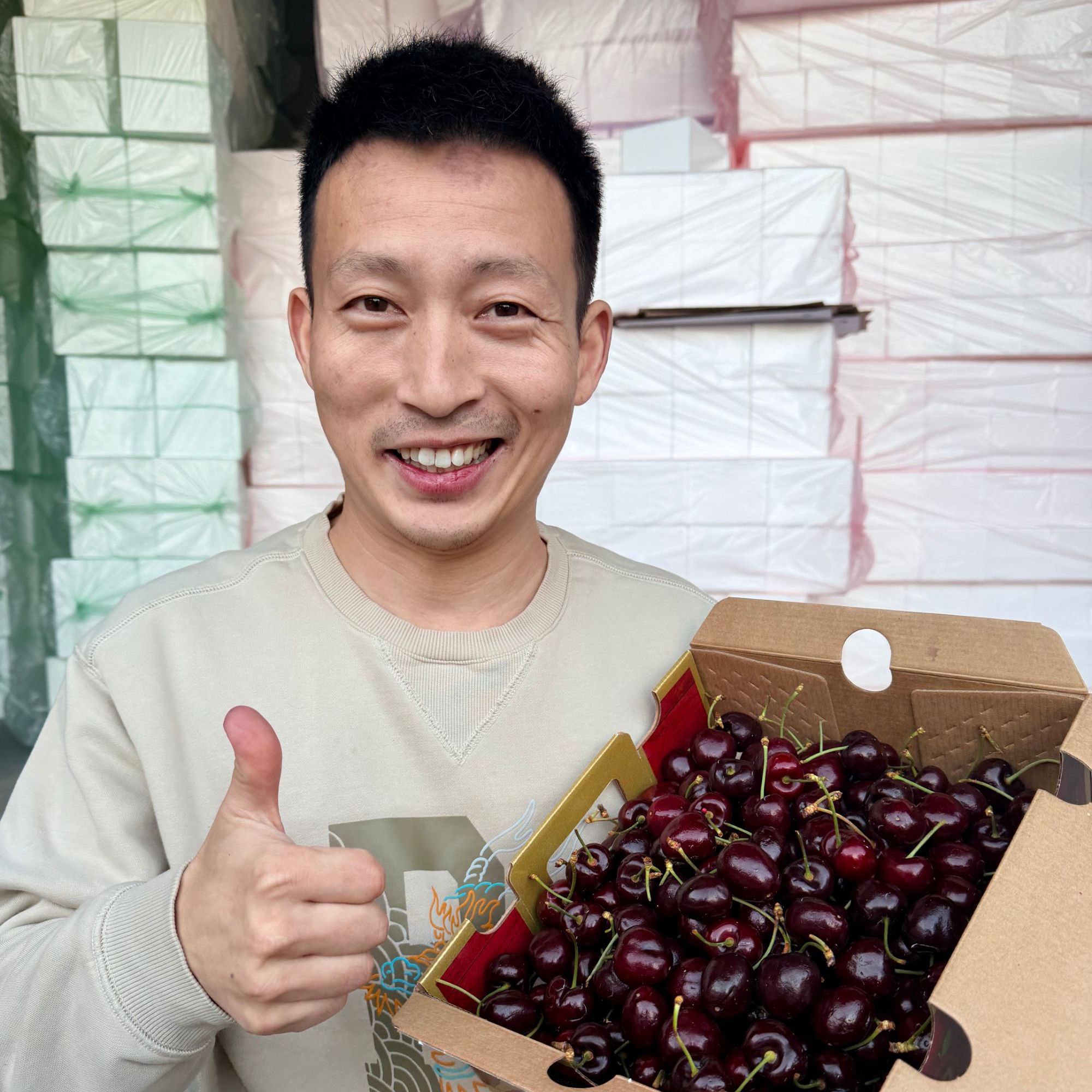 【顺丰京东】智利进口海运车厘子新鲜水果樱桃装当季J内附果径卡