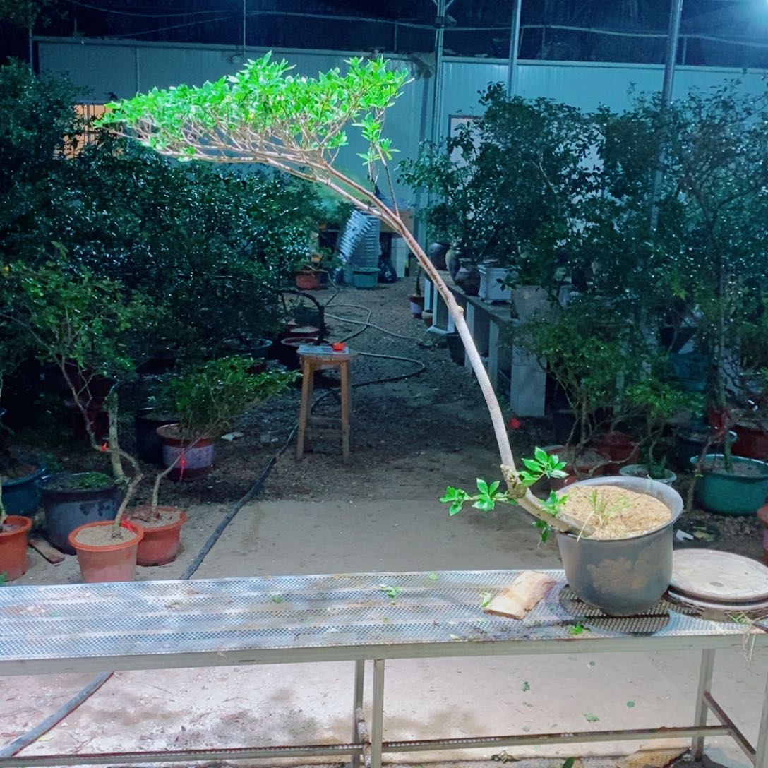 果***汀感谢您的支持和配合和帮助