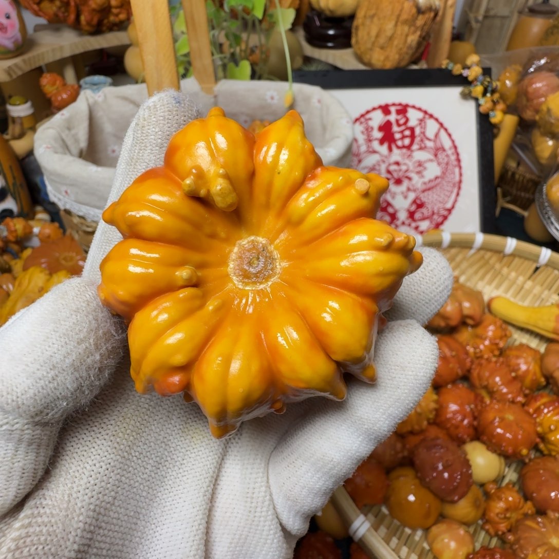 看*特价葫芦不退不换