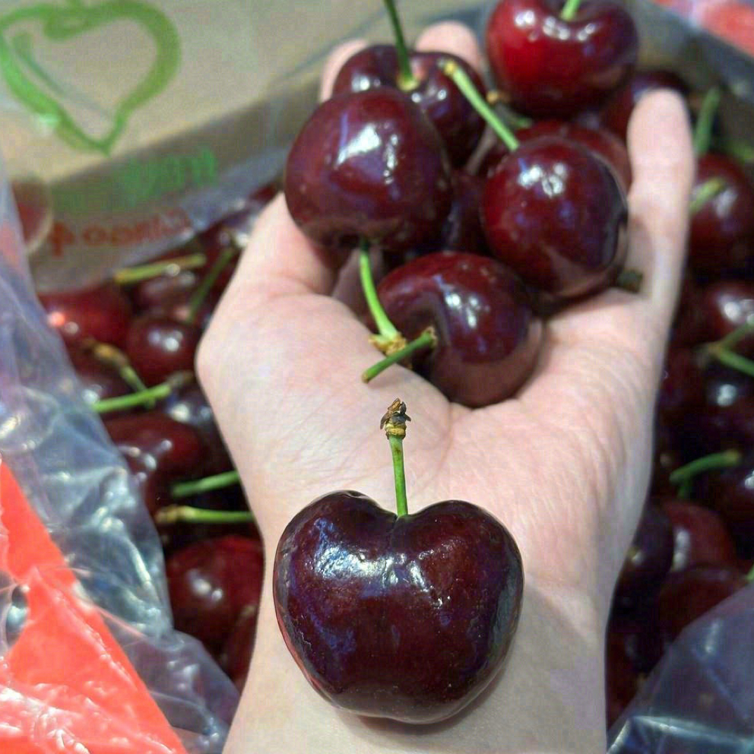 智利车厘子海运3J五斤装智利