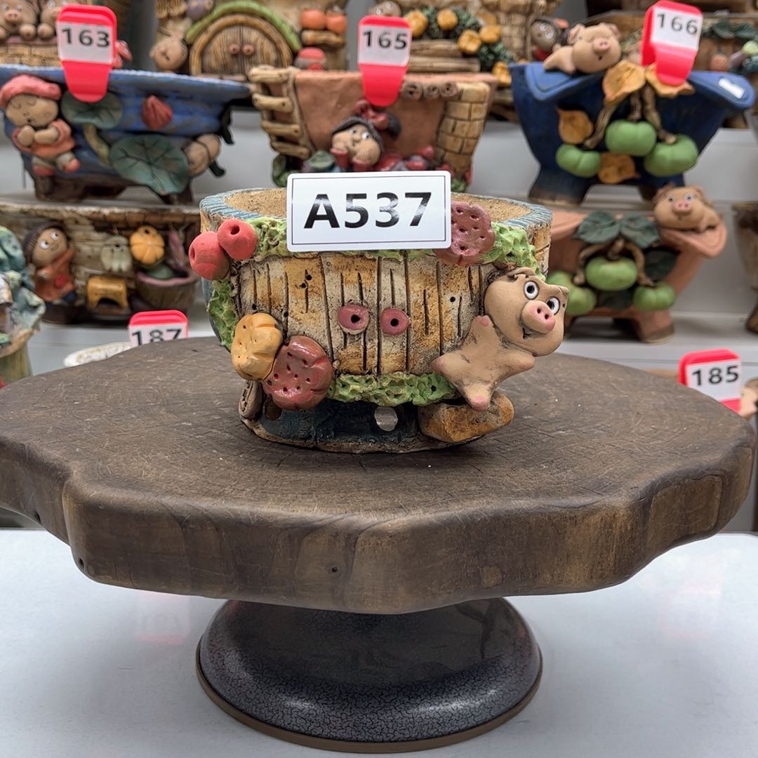 红陶花盆537嘻哈