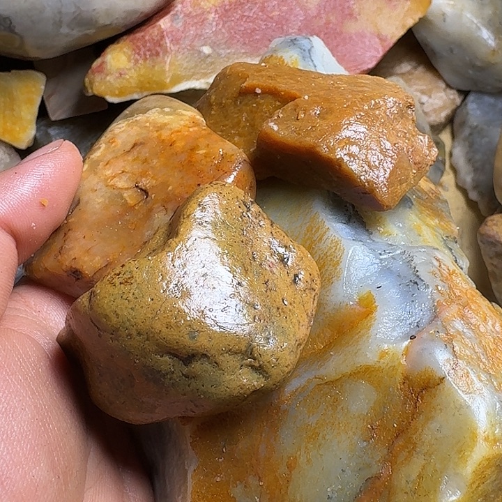 小***蛋寿山石寿山石的种类