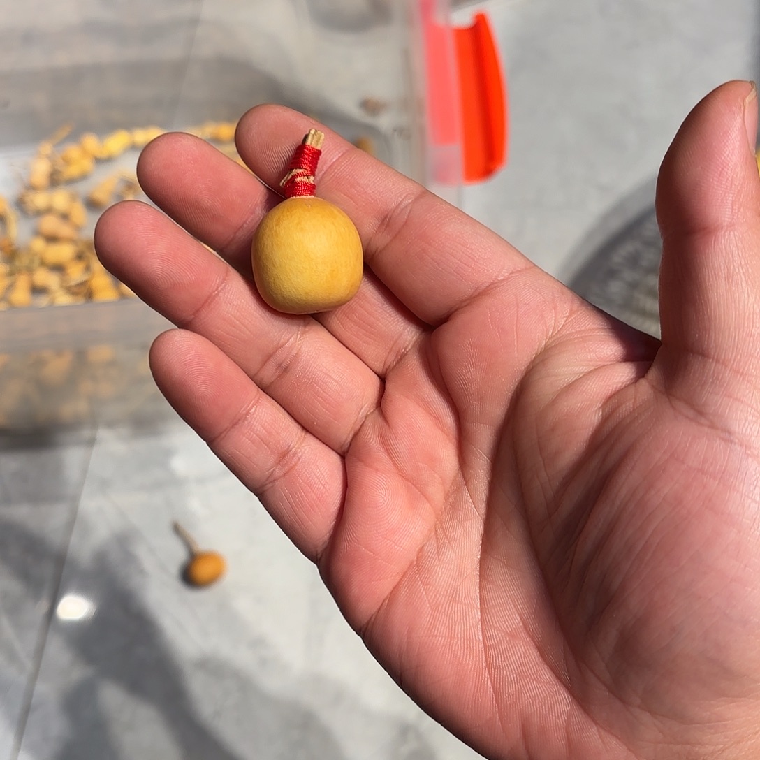 _***了哈哈哈哈哈哈哈哈哈哈哈哈哈