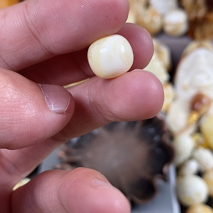 琥珀裸石未镶嵌我