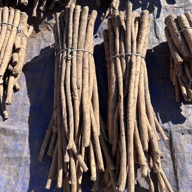 甘肃岷县八成干黄芪主杆 原产地自家种植