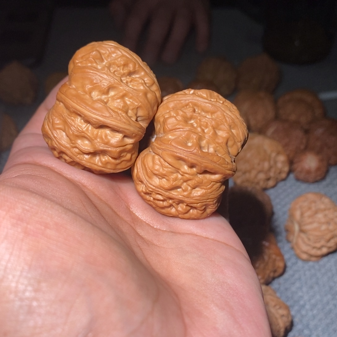 长***儿吊坠桃核44尺元宝