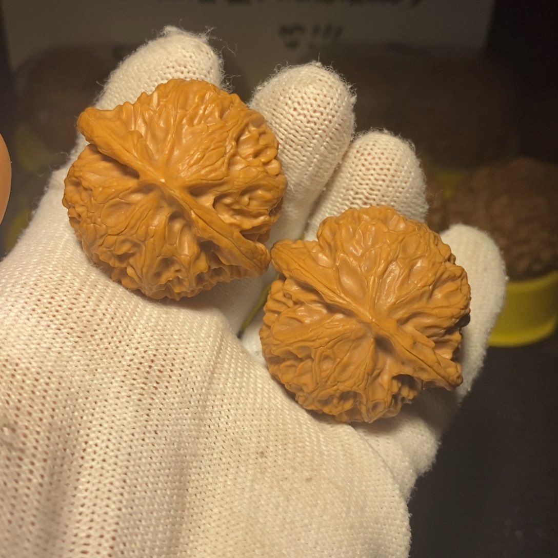 宫灯狮子头40尺精卡精配