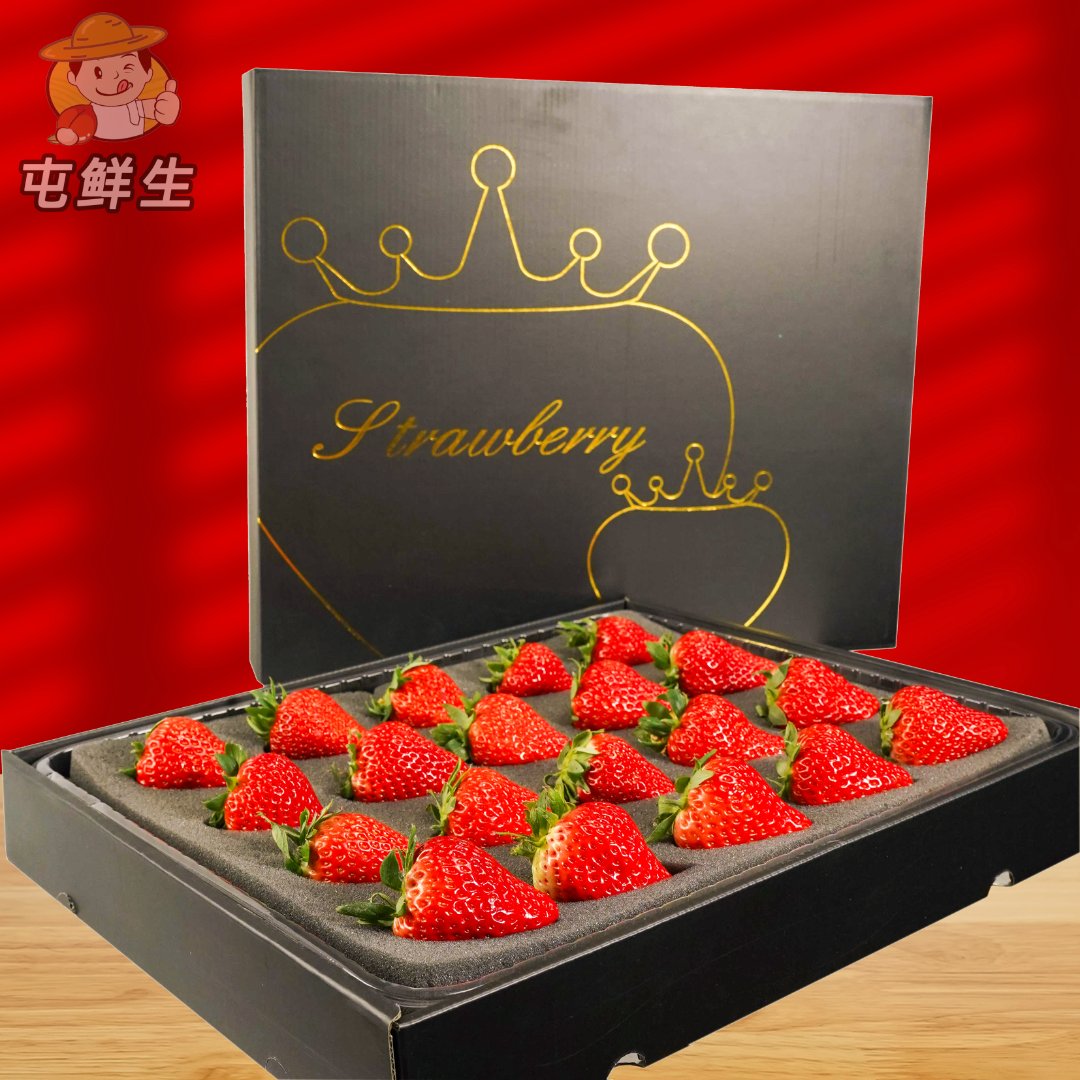 【精品礼盒】丹东草莓红颜99草莓牛奶99大草莓空运包邮