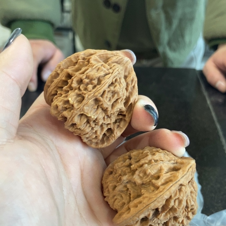 吊坠文玩核桃大南疆瑕疵