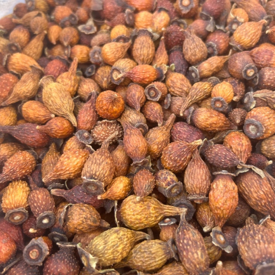 【金樱子】l野生金樱子泡茶煮水