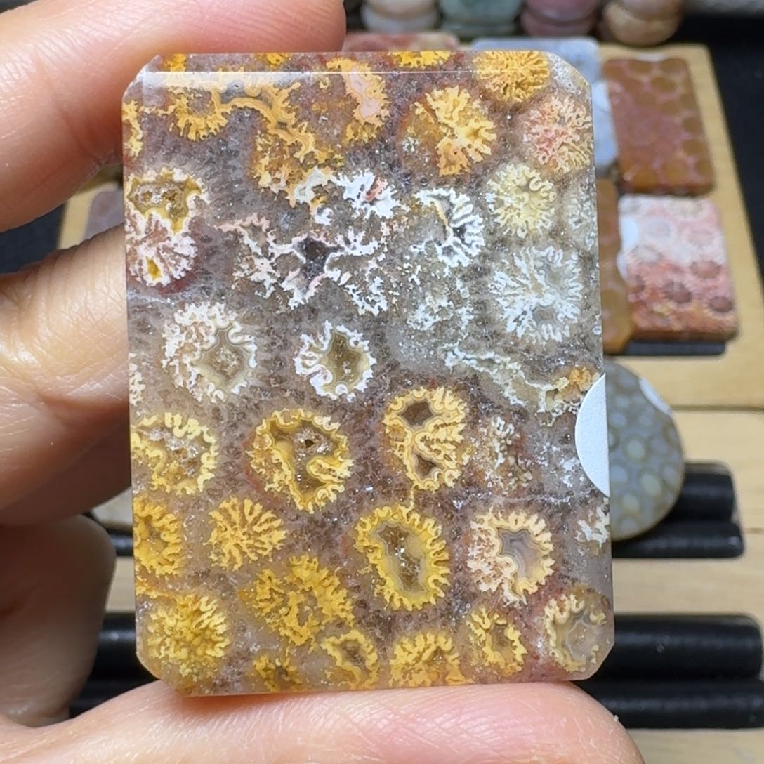 硅化玉有闪闪的烟花未镶嵌