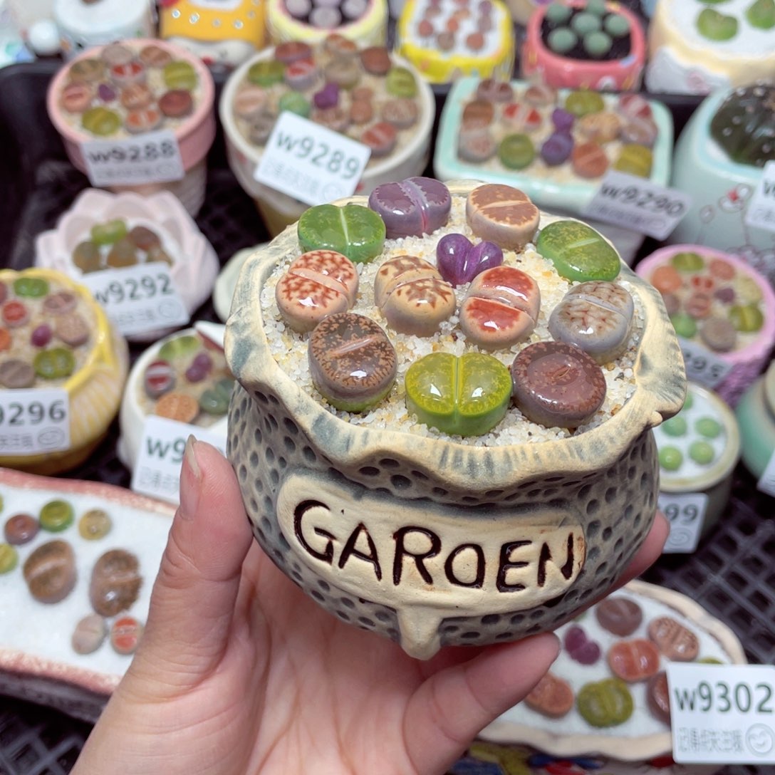 w 9303 零下地区拍保温箱 -15支持寄养