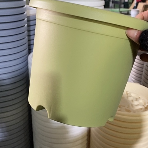 树脂四季3#无托果绿10个