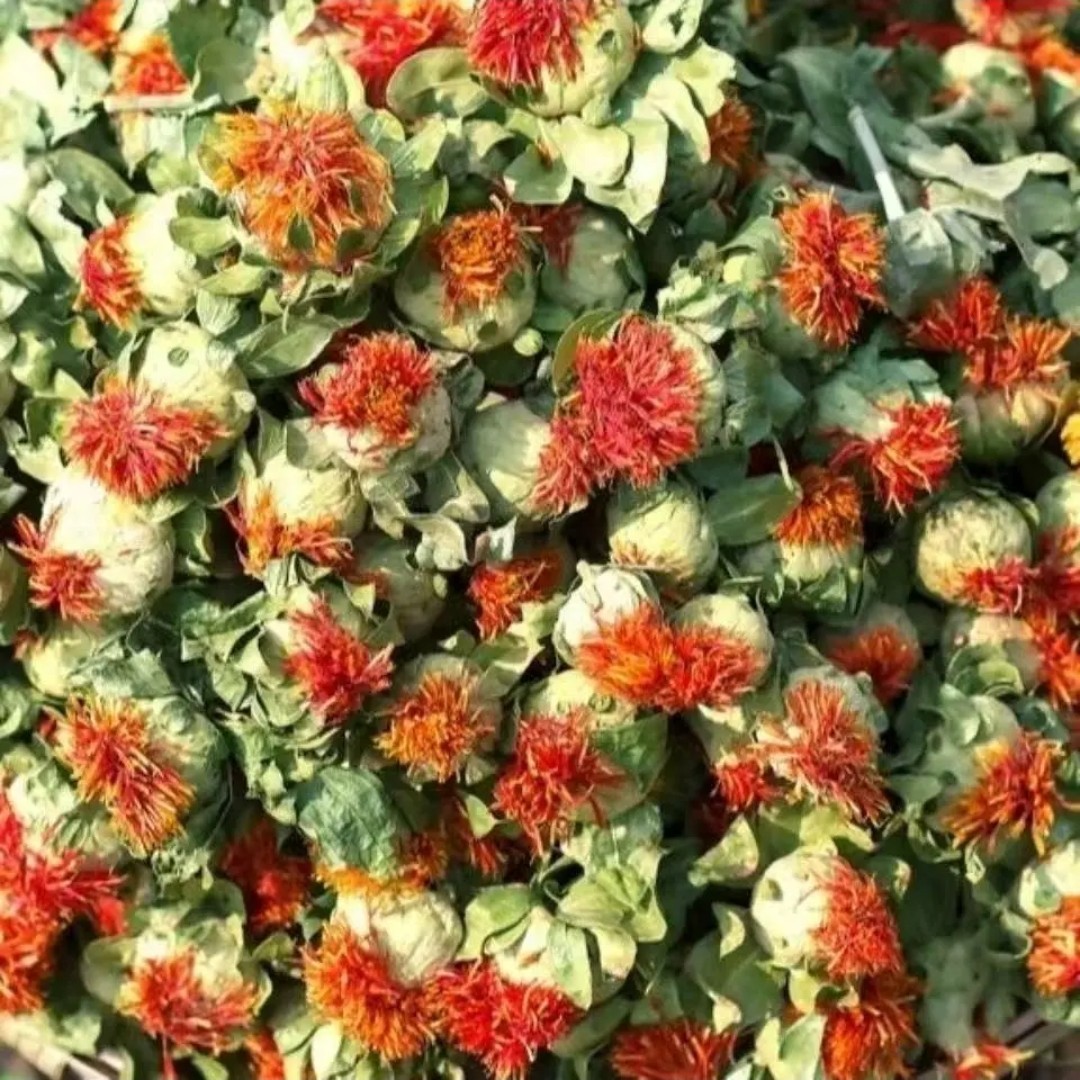 大自然高原山货九品藏天竺益身百搭茶 西藏核心产区非皂角米