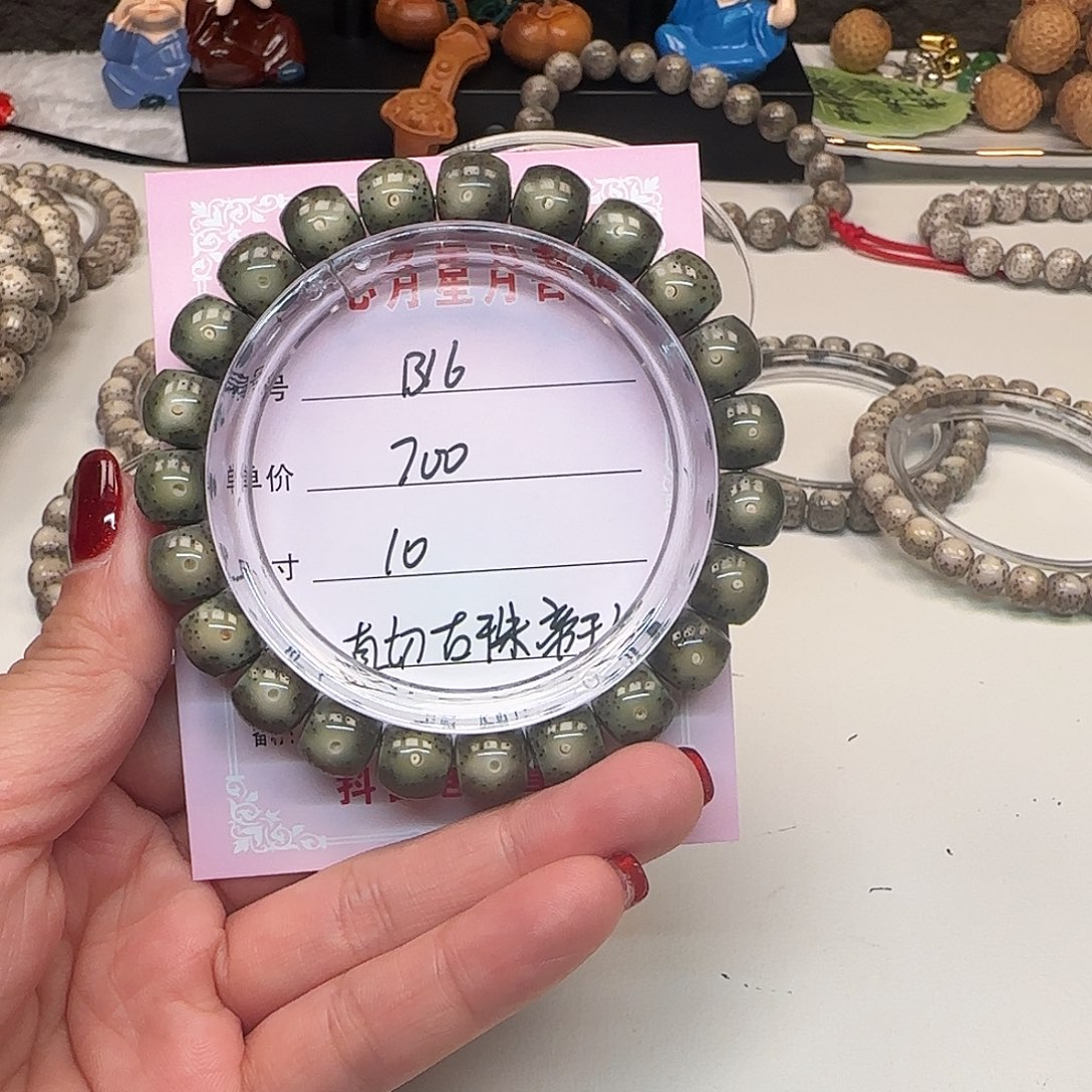 D****心月星月菩提一号B16