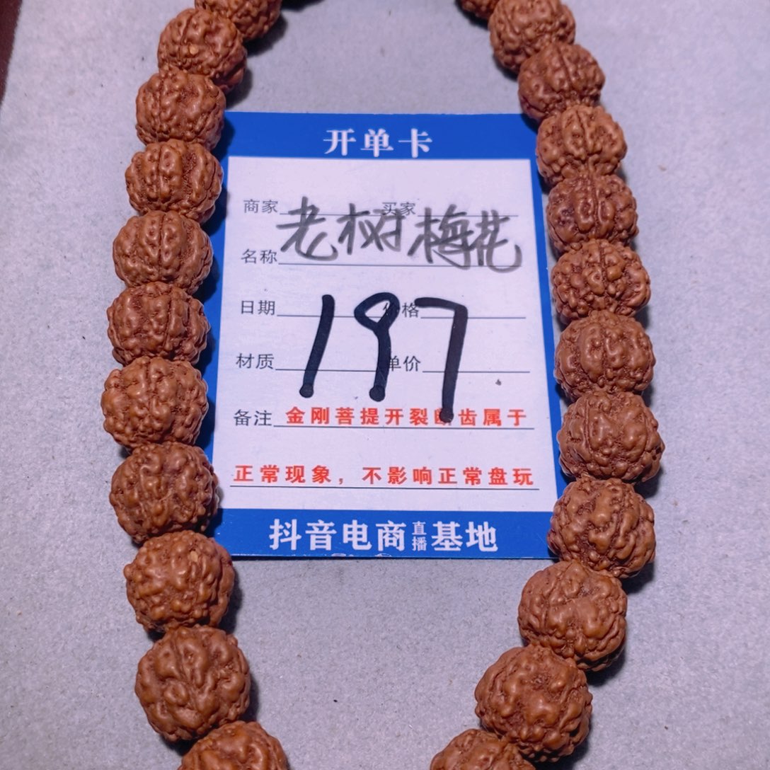金刚菩提手串197老树梅花13